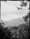 Mountains, view from trail