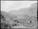 Houses in a valley, distant view, with mountains in the background