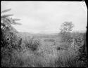 Landscape along the Waidina River