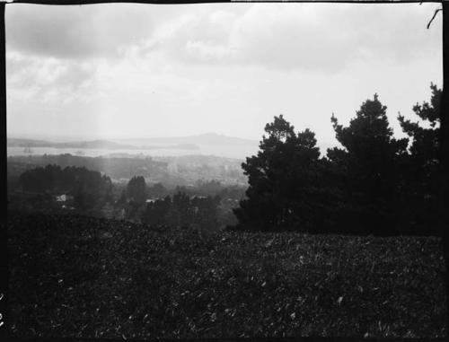 Auckland, view from Mount Eden