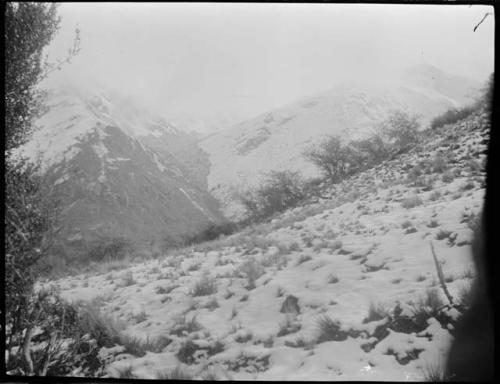 Mountains, view from town hill in Queenstown