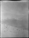 View from Ben Lomond