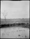 Flood near railroad in Murtoa