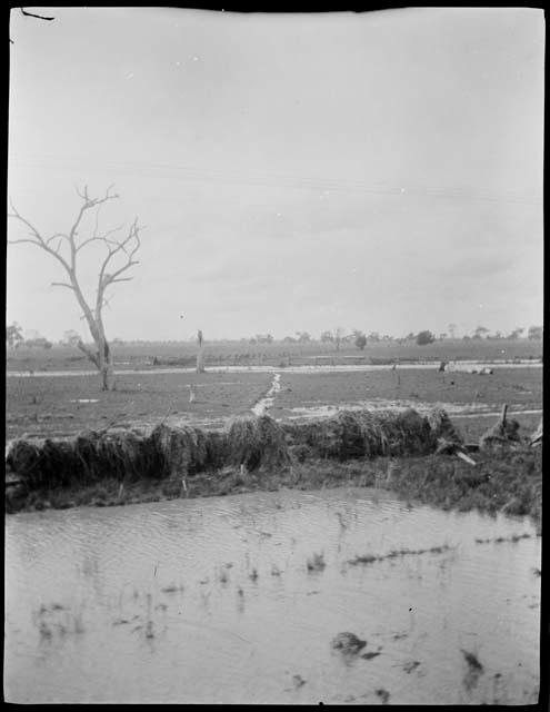 Flood near railroad in Murtoa