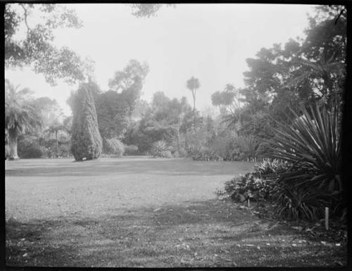 Melbourne Botanical Garden