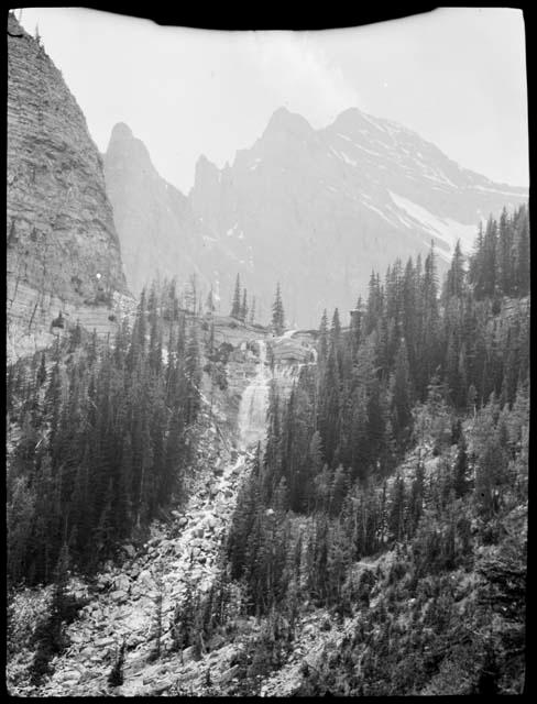 Trees on mountainside