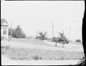 Trees in front of a house