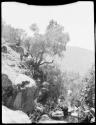 Man standing next to a donkey on a rocky path