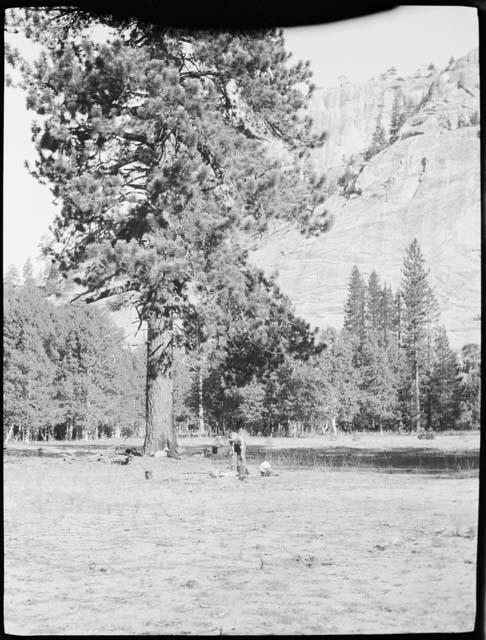 Person leaning over a fire in a camp next to a tree, with trees and mountain in the background