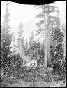 Man cooking in a camp surrounded by trees