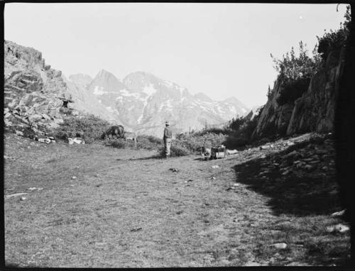 Man standing, with a donkey and a mule grazing near him, mountain in the background