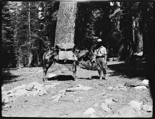 Man standing with a donkey