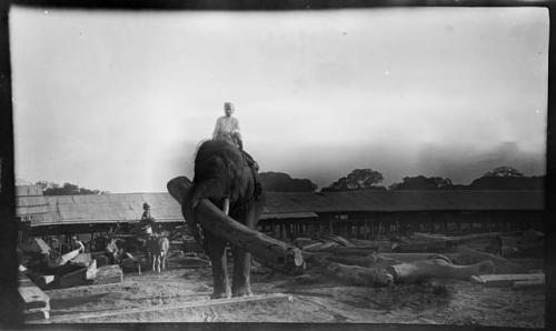 Man riding an elephant, moving a log, with a covered structure in the background