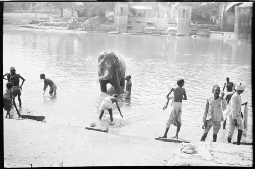 People standing in the water with an elephant, with a ghat in the background