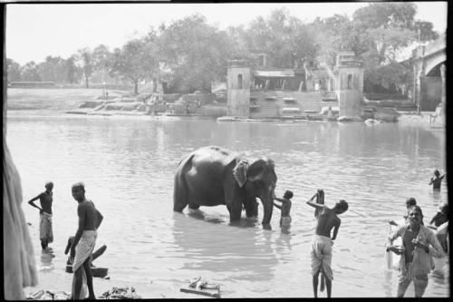 People in the water with an elephant, with a ghat in the background