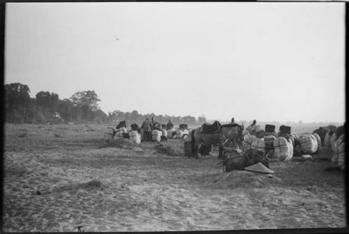 Group of people sitting near large bundles and a horse