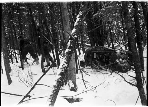 Roland B. Dixon pulling a toboggan with another person