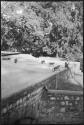 Monkeys on the top of a stone structure