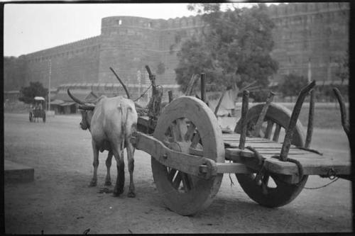 Ox cart pulled by zebu, with a building in the background