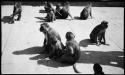 Monkeys sitting on stone pavement