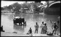 People standing in the water next to an elephant, with a ghat and a bridge in the background