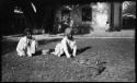 Snake charmers watching a snake and a squirrel, with a child standing next to a building in the background