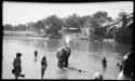 People standing in the water next to an elephant