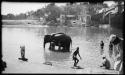 People standing in the water next to an elephant