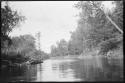 Pond or river, with trees along shore