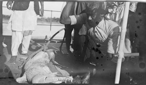 People next to a crocodile on the deck of a boat