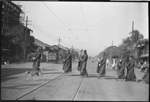 Monks carrying containers across a street, with a dog walking next to them