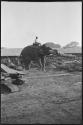 Man riding an elephant, moving a log, with a large building in the background