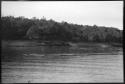 Person sitting on a large raft, with trees along shore in the background