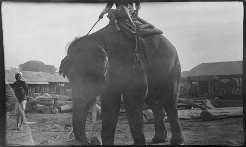 Person riding an elephant, with logs and a large building in the background