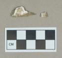 Organic, faunal remain, calcined bone fragments