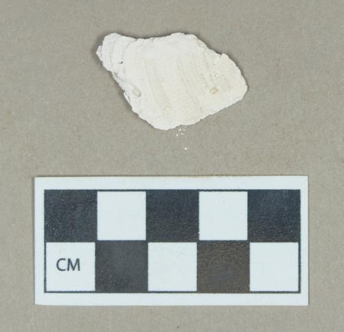 Organic, faunal remain, shell fragment