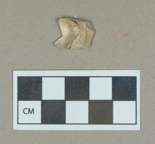 Ceramic, pipe bowl and heel fragment