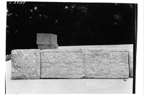 Caracol, stones bearing hieroglyphs.