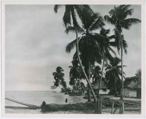 View of coast line with trees, thatched roof structures on right