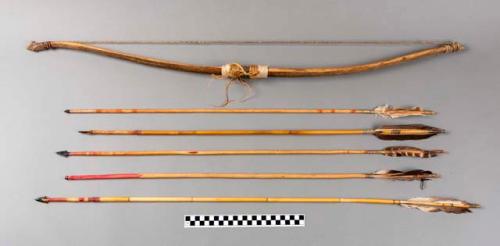 Sinew backed bow