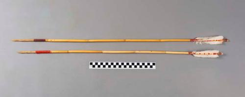 Arrows, shaft of cane, points of greasewood.