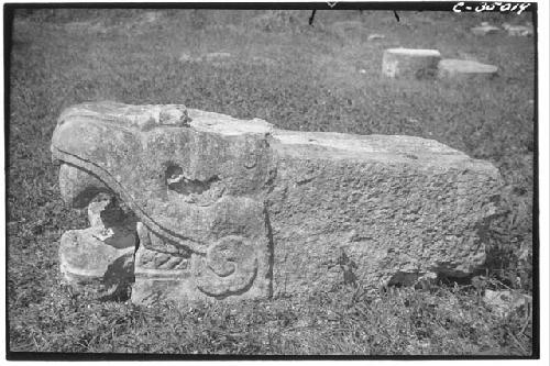 Serpent balustrades. Head from N. Colonnade.