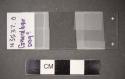 Glass slide of sample hairs removed from tuft of fur 39-110-10/N3537.1.1 for analysis