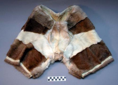 Woman's winter suit, trunks