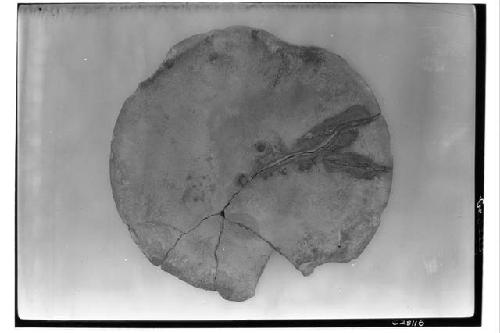 T. of Warriors, sandstone disk found under corner of - Reverse.