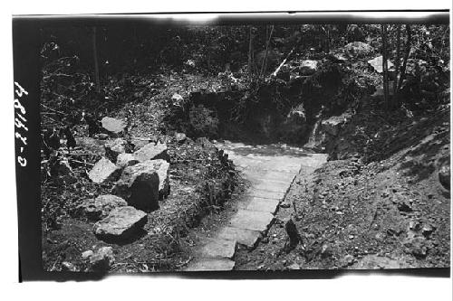 Section of the paved road at Caracol