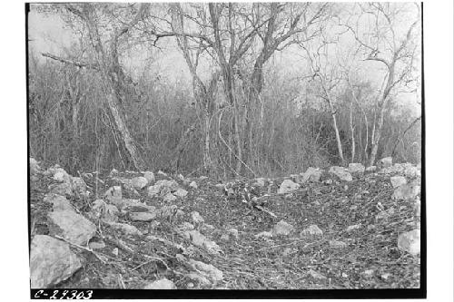 Casa Redonda. View top of mound before excavation.