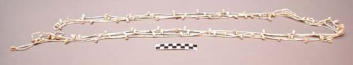 Cheyenne necklace. Long tubular beads (imitation wampum) and shells.