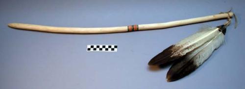 Willow stick with shaman's eagle feather attached