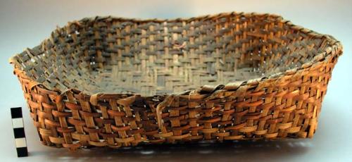 Winnowing basket